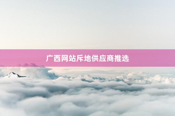 广西网站斥地供应商推选